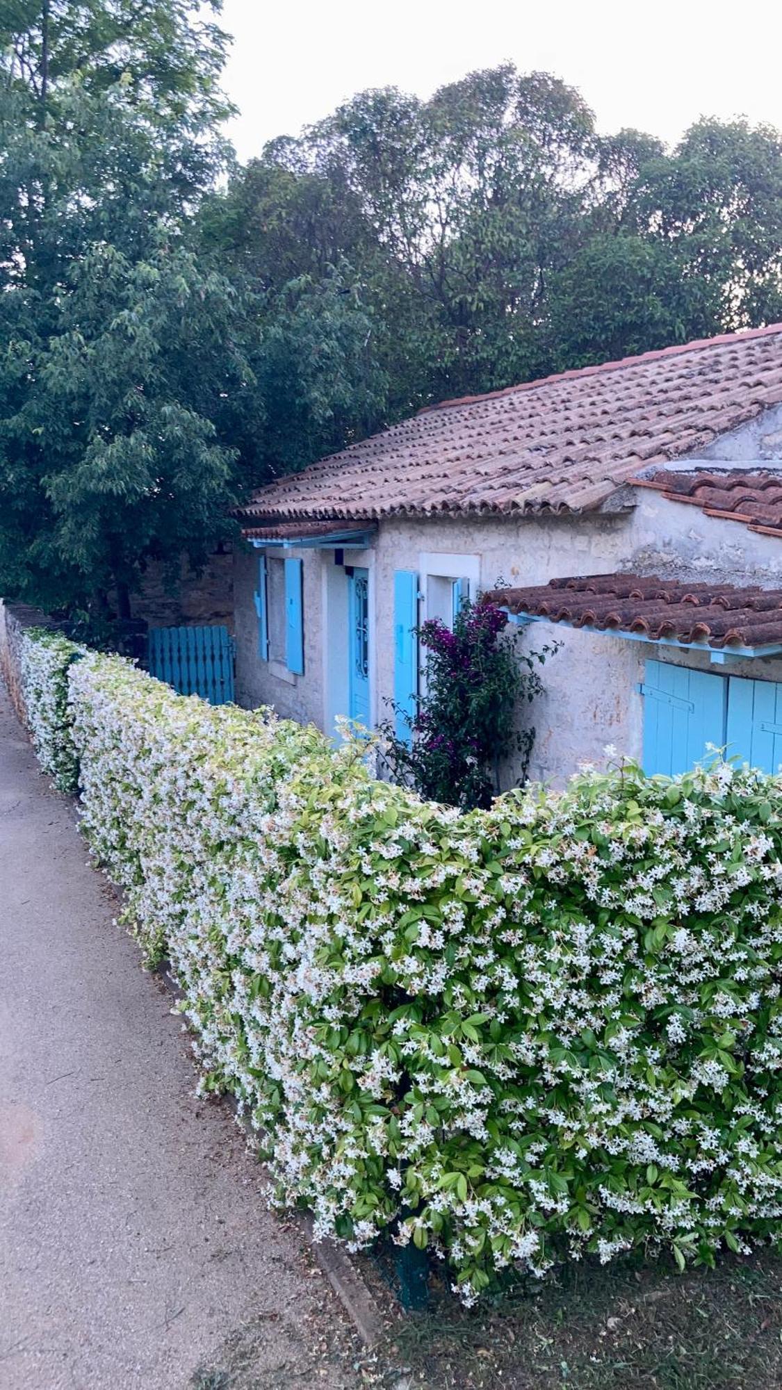 Vila Majda Tar-Vabriga Esterno foto